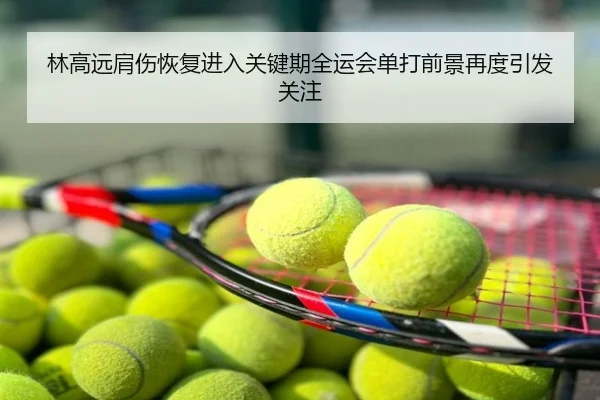 林高远肩伤恢复进入关键期全运会单打前景再度引发关注